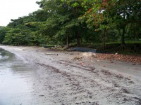 /album/nuestras-fotos/a100-0923-copia-jpg/